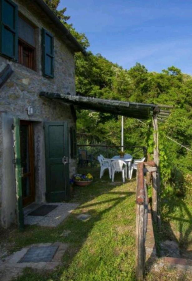 Casa Serena Villa Petrognano  Exterior foto