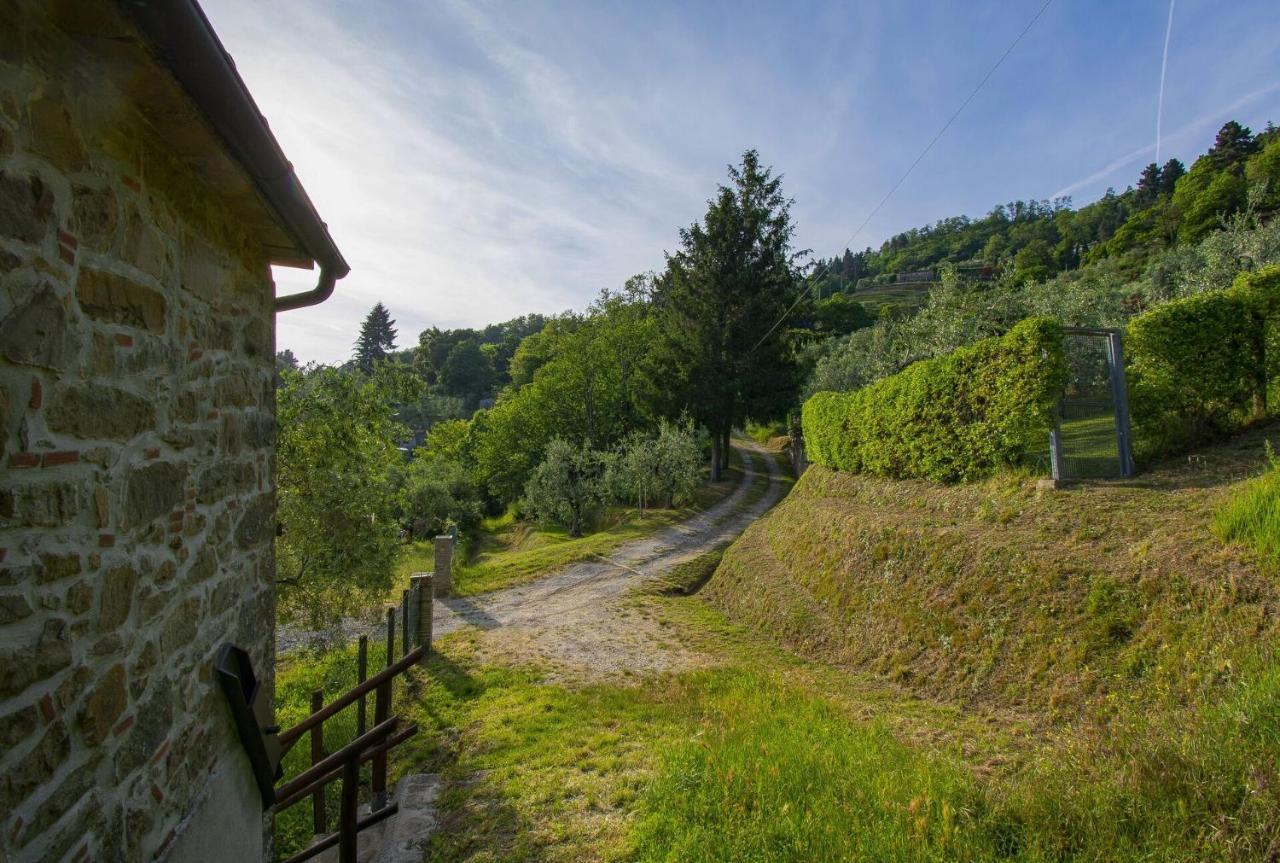 Casa Serena Villa Petrognano  Exterior foto