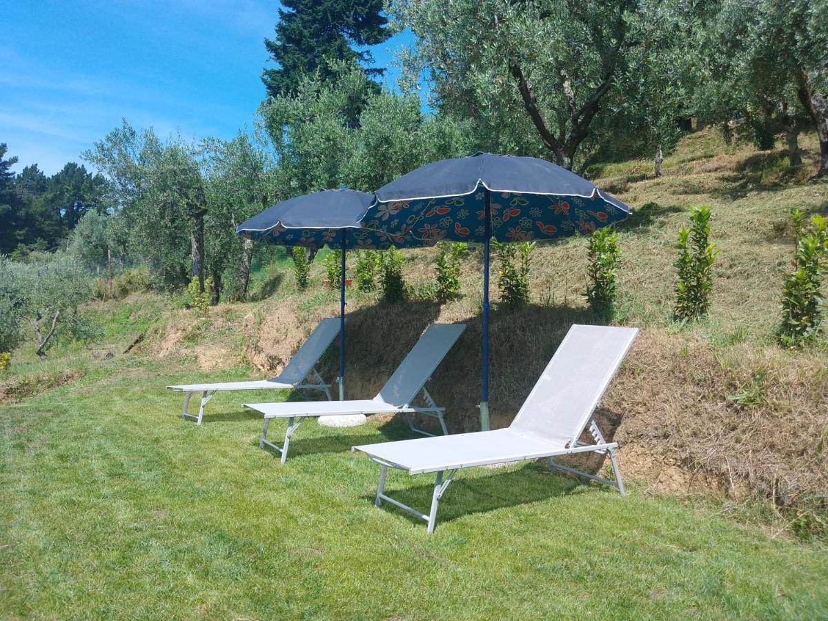 Casa Serena Villa Petrognano  Exterior foto